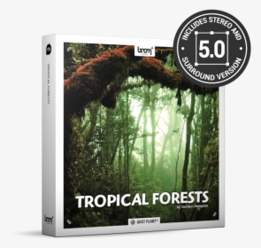 Tropical Forests Nature Ambience Sound Effects Library - Jungle 1080, HD Png Download, Free Download