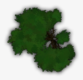 Tree, HD Png Download, Free Download