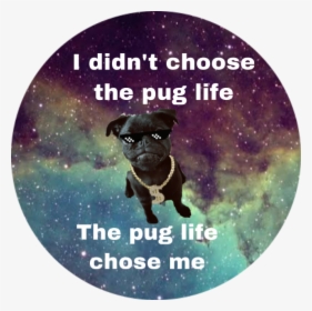 #pug Life - Will Smith Willennium Cd, HD Png Download, Free Download