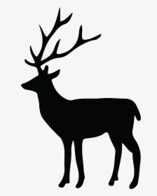 Deer Reindeer Silhouette White-tailed Transparent Png - Deer Silhouette Png, Png Download, Free Download
