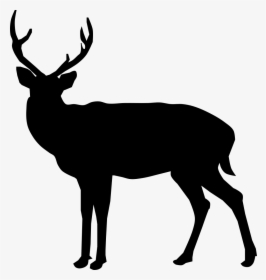Buck Deer Silhouette - Buck Deer Silhouette Png, Transparent Png, Free Download
