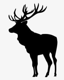 Elk - Moose Clipart Black And White, HD Png Download, Free Download