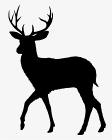 Transparent Deer Antlers Silhouette Png - Deer Silhouette Vector, Png Download, Free Download