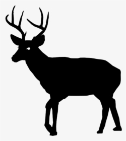 Art,stencil,graphics - White Tailed Deer In Silhouette, HD Png Download, Free Download