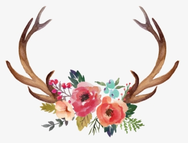 Floral Clipart Deer Antler, HD Png Download, Free Download
