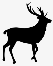 Elk, Silhouette, Cut Out, Stag, Bull - Reindeer Transparent Background, HD Png Download, Free Download