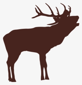 Transparent Deer Antlers Silhouette Png - Elk, Png Download, Free Download