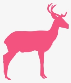 Pink Antelope Clipart, HD Png Download, Free Download