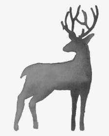 Watercolor Deer Silhouette, HD Png Download, Free Download