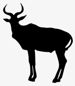 Elk,wildlife,silhouette - Antelope Silhouette, HD Png Download, Free Download
