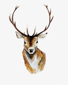 Transparent Deer Antlers Clipart Black And White - Deer Watercolor Paintings, HD Png Download, Free Download