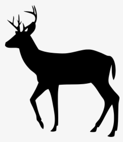 Deer Silhouette Clipart , Png Download - Transparent Deer Silhouette, Png Download, Free Download
