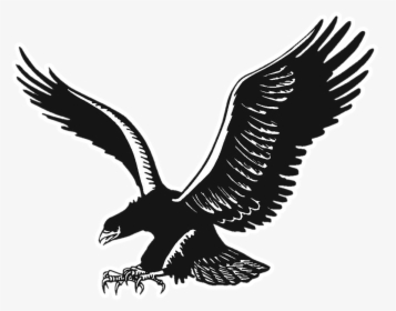 School Logo - Black And White Eagle Logo, HD Png Download, Free Download