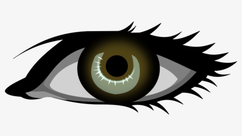 Eyes On Book Clip Black And White Stock - Blue Eye Clip Art, HD Png Download, Free Download