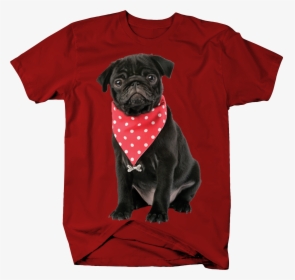 Black Dog With Red Bandana, HD Png Download, Free Download