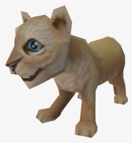 Pet Lion Cub, HD Png Download, Free Download