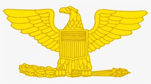 Colonel Gold - Rank Colonel, HD Png Download, Free Download