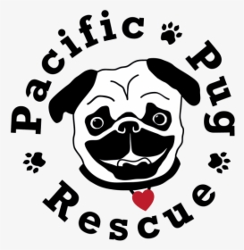 Image - Pacific Pug Rescue, HD Png Download, Free Download