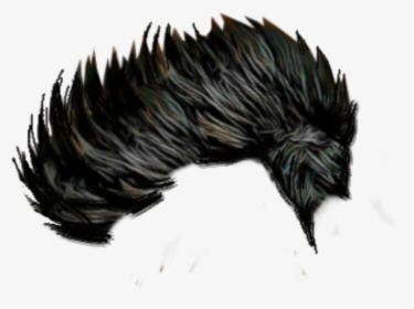Man Hair Style Only Hair, HD Png Download, Free Download