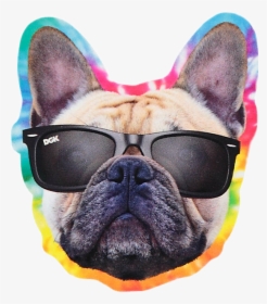 #dog #pug #pitbull #dgk #dj #cool #color #music #tropical - Dgk Yogi Sticker, HD Png Download, Free Download
