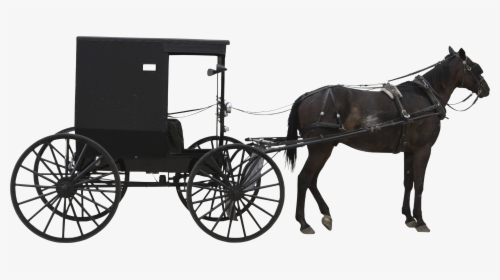 Quiltfest Page Of The Center It All Horse - Horse And Cart Png, Transparent Png, Free Download
