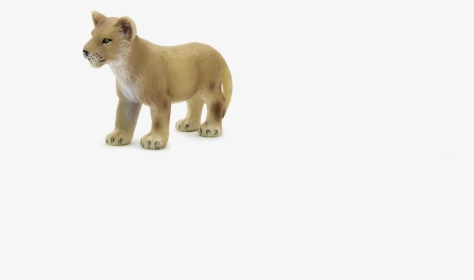 Animal Planet Lion Cub Standing - Lion, HD Png Download, Free Download