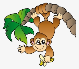 Zoo Monkey Png - Monkey Hanging From A Tree, Transparent Png, Free Download