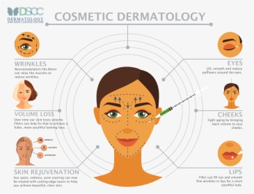 Plastic Surgery Infographic, HD Png Download, Free Download