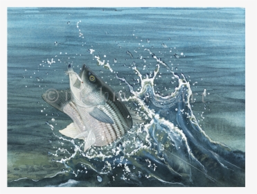 Launching Striper And Deceiver Original Painting - Sea, HD Png Download, Free Download