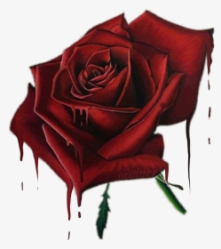 #bloodyrose - Floribunda, HD Png Download, Free Download