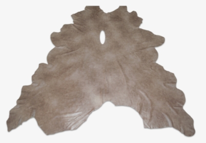 Tree, HD Png Download, Free Download
