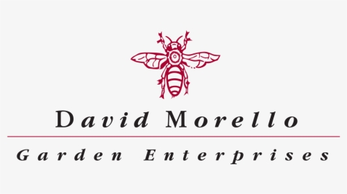 Hornet, HD Png Download, Free Download