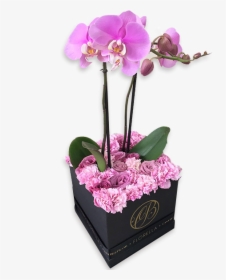 Caja De Rosas Lila Con Orquídea - Cajas De Rosas En Orquidea, HD Png Download, Free Download