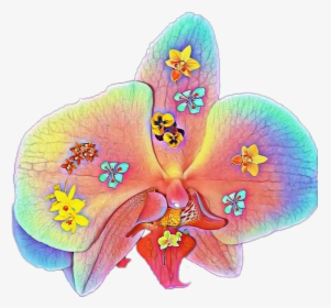 #flores #flower #orquideas - Cattleya, HD Png Download, Free Download