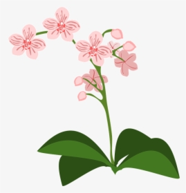 Clipart, Flor, Flora, Naturaleza, Orquídea, Orquídeas - Transparent Background Blue Flower Icon Png, Png Download, Free Download