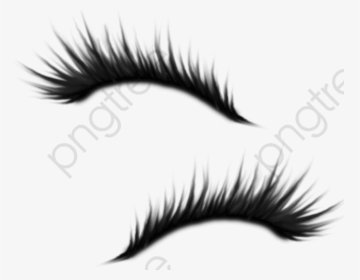 Amy Eyelash Beautiful Pretty - Eyelashes Clipart Free Png, Transparent Png, Free Download