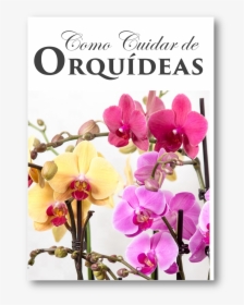 Orquideas Livro - Orchids, HD Png Download, Free Download