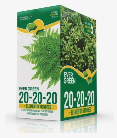 Parsley, HD Png Download, Free Download