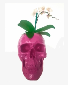 Skull, HD Png Download, Free Download
