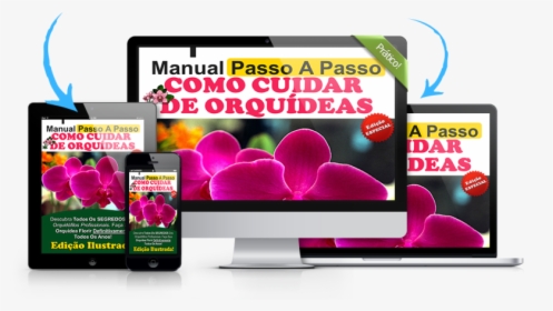 Manual Passo A Passo De Como Cuidar De Orquideas - Orquideas, HD Png Download, Free Download