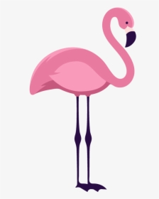 Mi Flamenco Rosa - Flamingo Adesivo, HD Png Download, Free Download