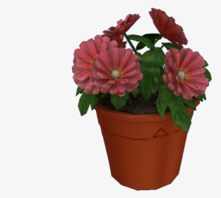 Download Zip Archive - Common Zinnia, HD Png Download, Free Download