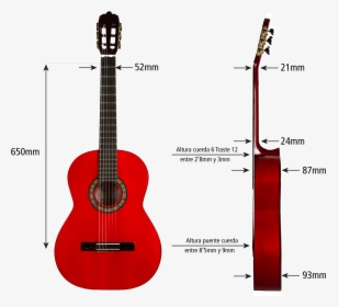 Mg 7065 Editar - Guitar Aria A 20, HD Png Download, Free Download