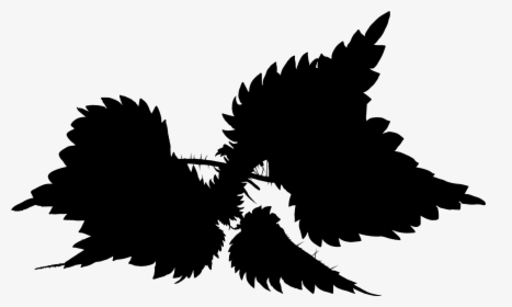 Font Silhouette Beak Sky - Pigeons And Doves, HD Png Download, Free Download
