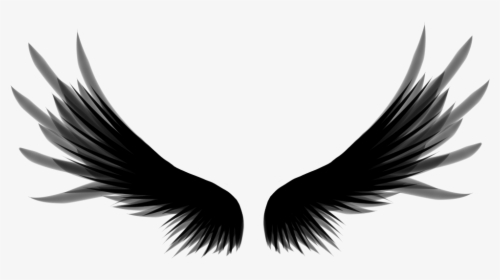#ftestickers #wings #silhouette - Crow Wings Png, Transparent Png, Free Download