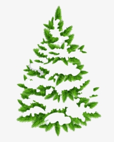 Christmas Pine Tree Png Hd - Pine Tree Clipart Transparent, Png Download, Free Download