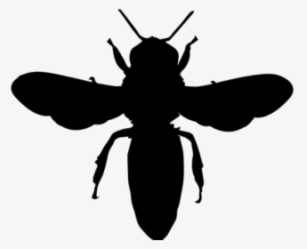 European Dark Bee Portable Network Graphics Vector - Png Silhouette Vector Bee Vector, Transparent Png, Free Download