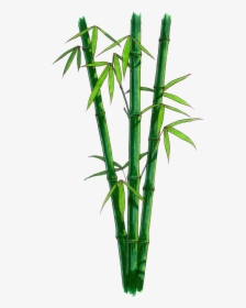 Blade Of Grass Tattoo - Bamboo With No Background, HD Png Download, Free Download
