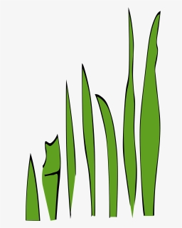 Transparent Grass Blade Png - Grass Clip Art, Png Download, Free Download