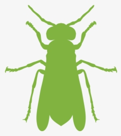 Exterior Wasp Control Treatment - Illustration, HD Png Download, Free Download